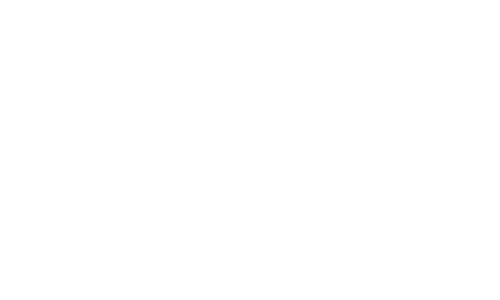 Booz Allen
